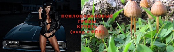 винт Балахна