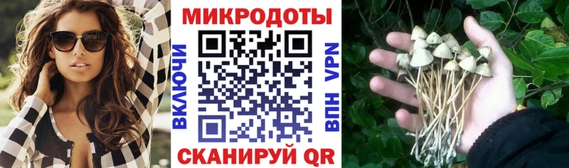 хочу   Боровск  Галлюциногенные грибы мицелий 